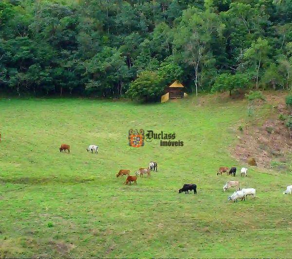 Fazenda à venda com 5 quartos, 1331000M2 - Foto 100