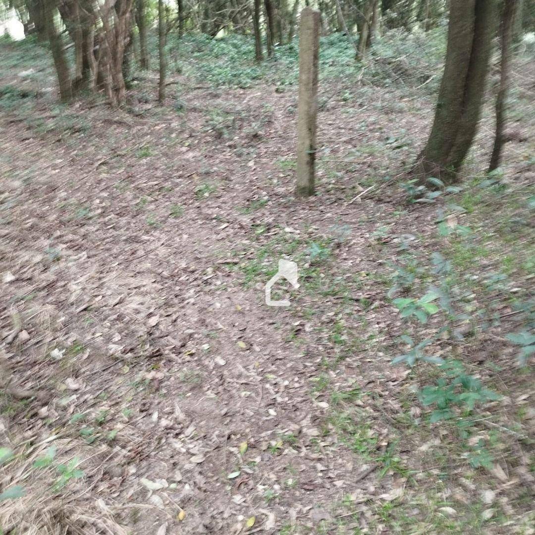 Terreno à venda, 10000M2 - Foto 5