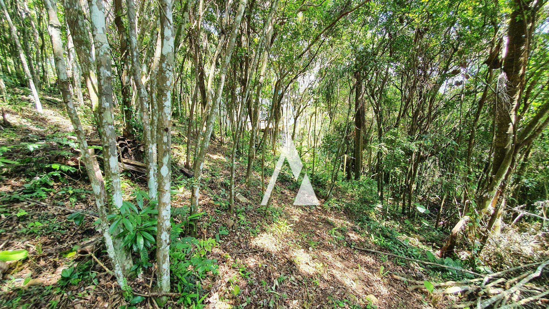 Terreno à venda, 3418M2 - Foto 50