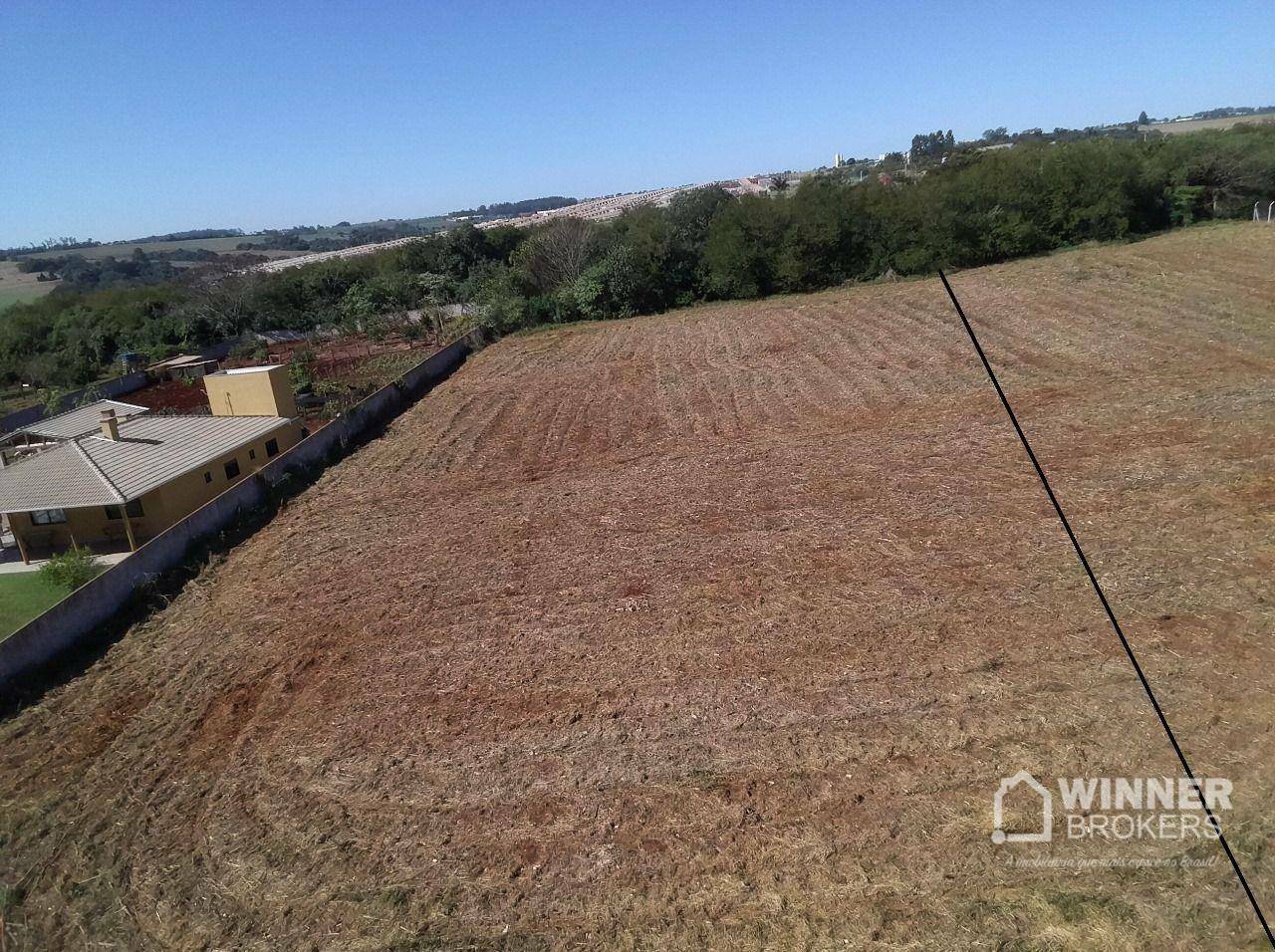 Terreno à venda, 5000M2 - Foto 5