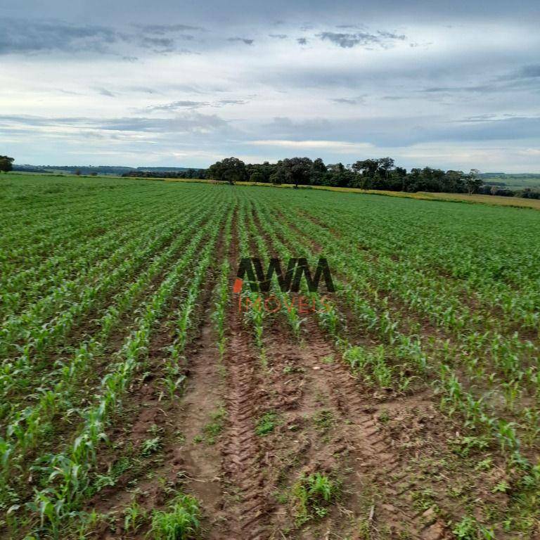 Fazenda à venda com 2 quartos, 387200M2 - Foto 5