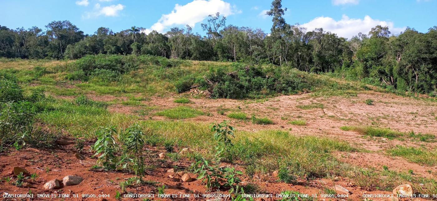 Loteamento e Condomínio à venda com 4 quartos, 370000m² - Foto 15