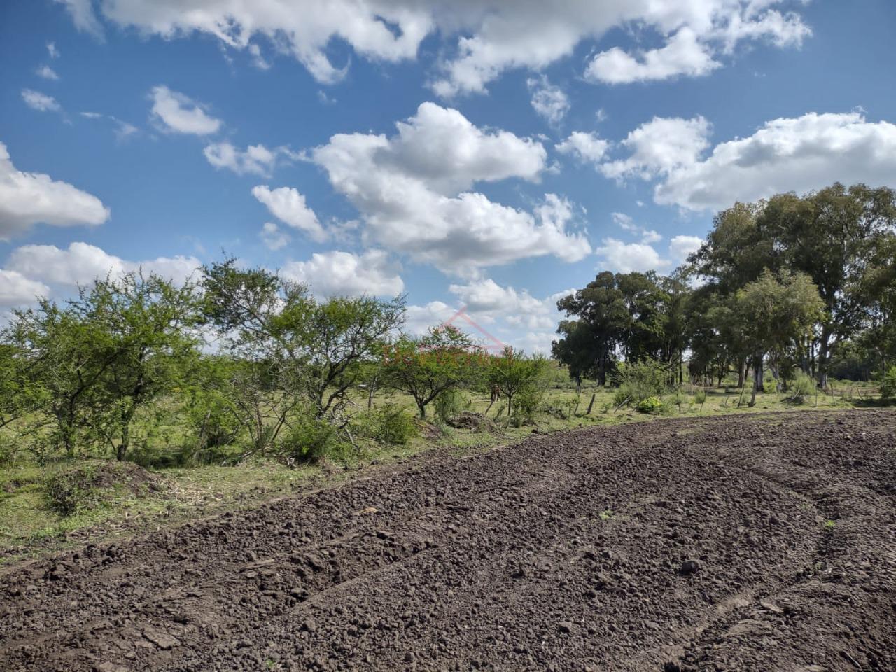 Fazenda-Sítio-Chácara - Foto 12