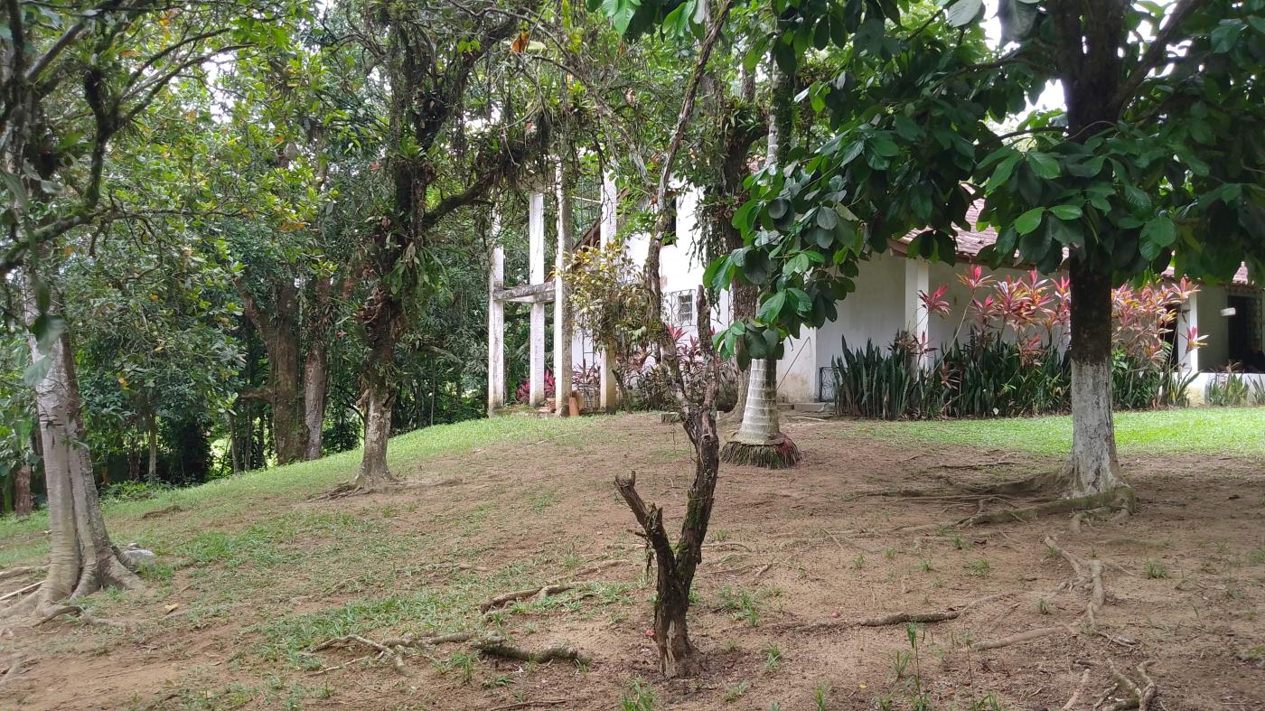 Sítio à venda, 10000m² - Foto 23