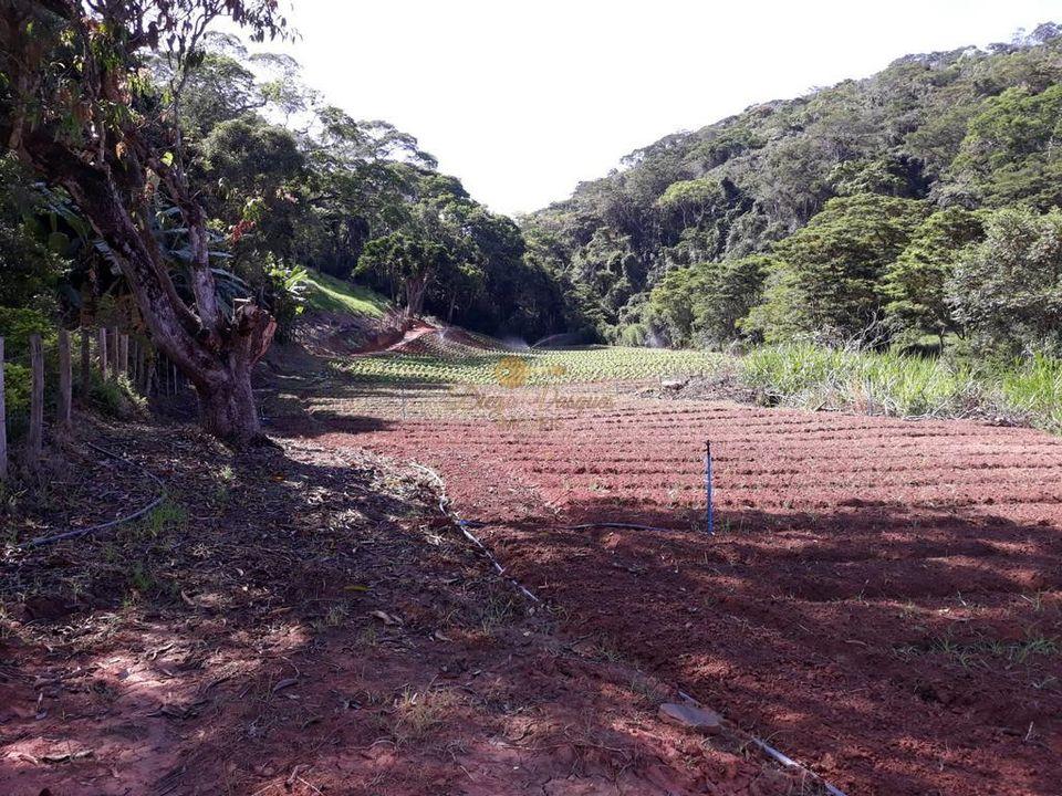 Sítio à venda com 5 quartos, 170000m² - Foto 21