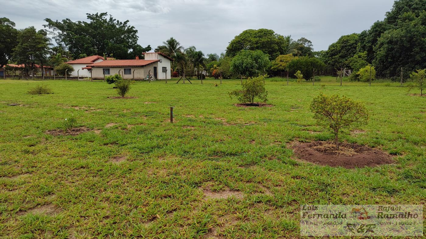 Fazenda à venda com 2 quartos, 5000m² - Foto 8