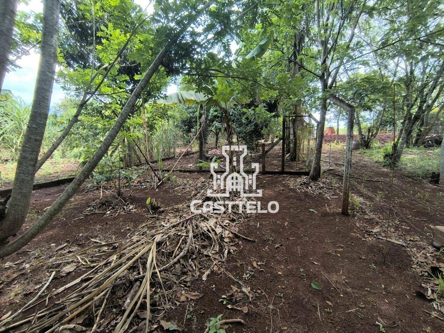 Chácara à venda com 1 quarto, 1200M2 - Foto 15