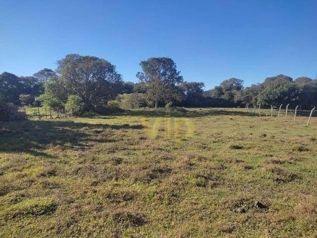 Terreno à venda, 2100M2 - Foto 1