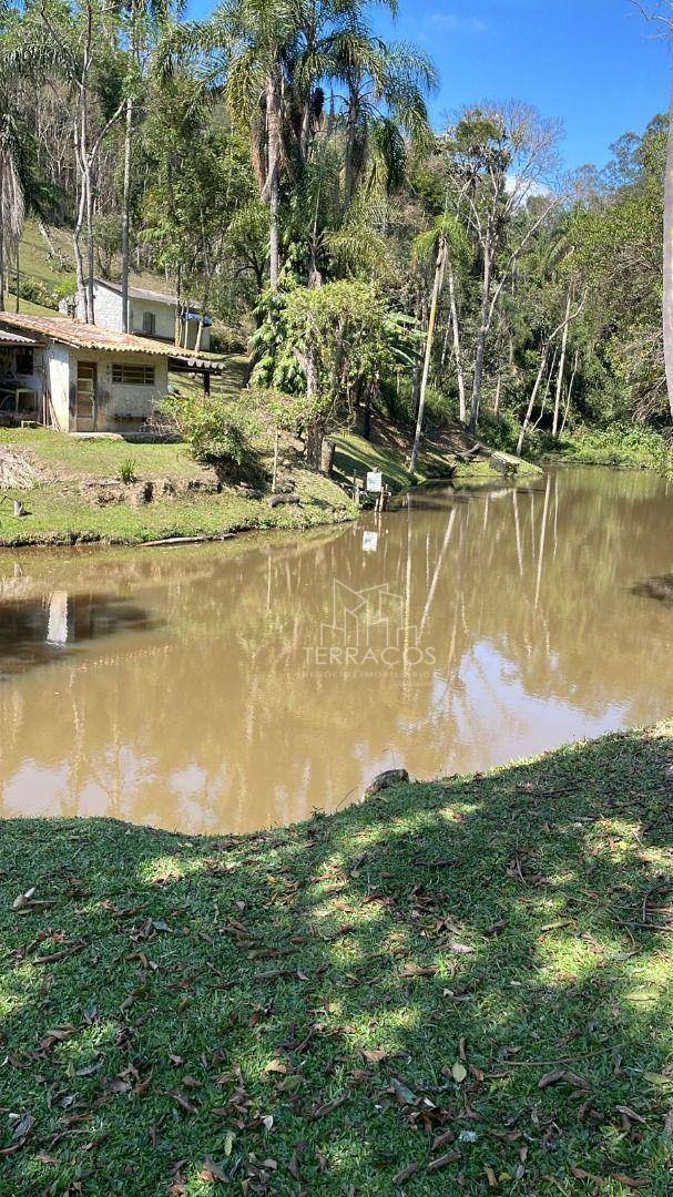 Sítio, 5 quartos, 31 hectares - Foto 52