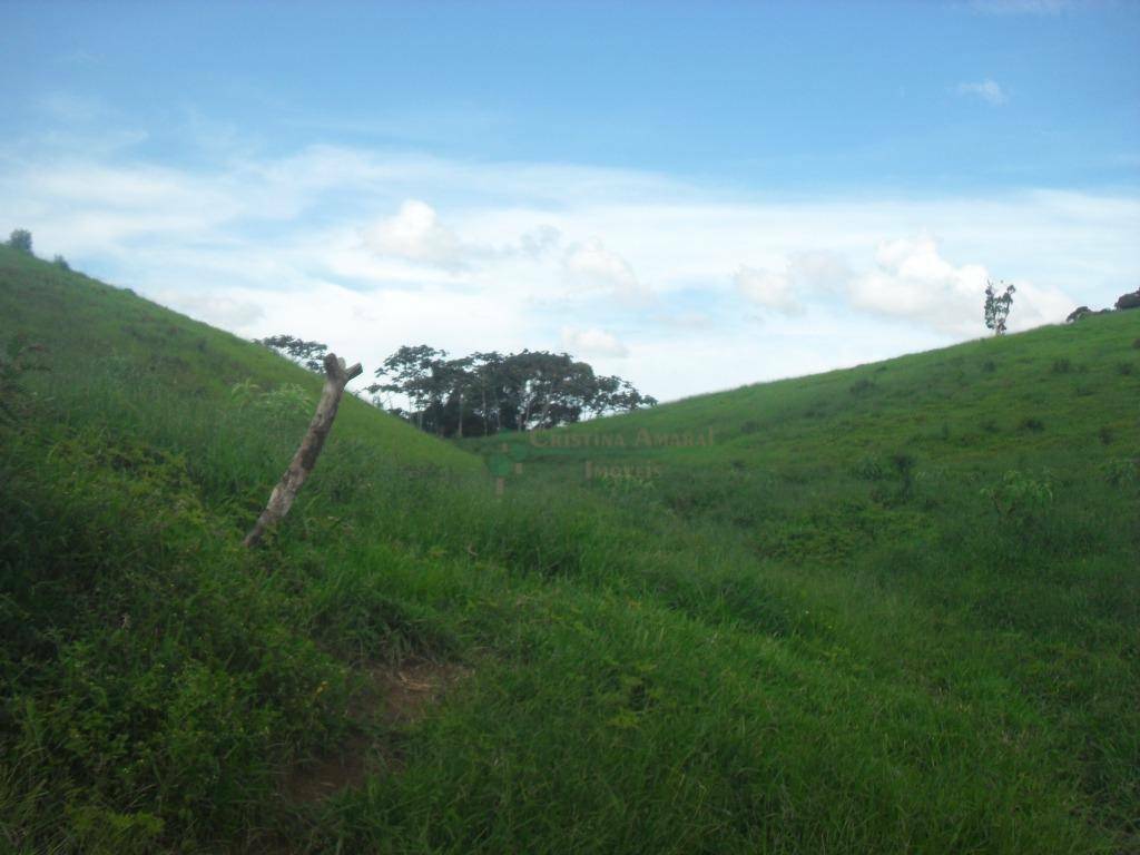 Fazenda à venda com 3 quartos, 120m² - Foto 23