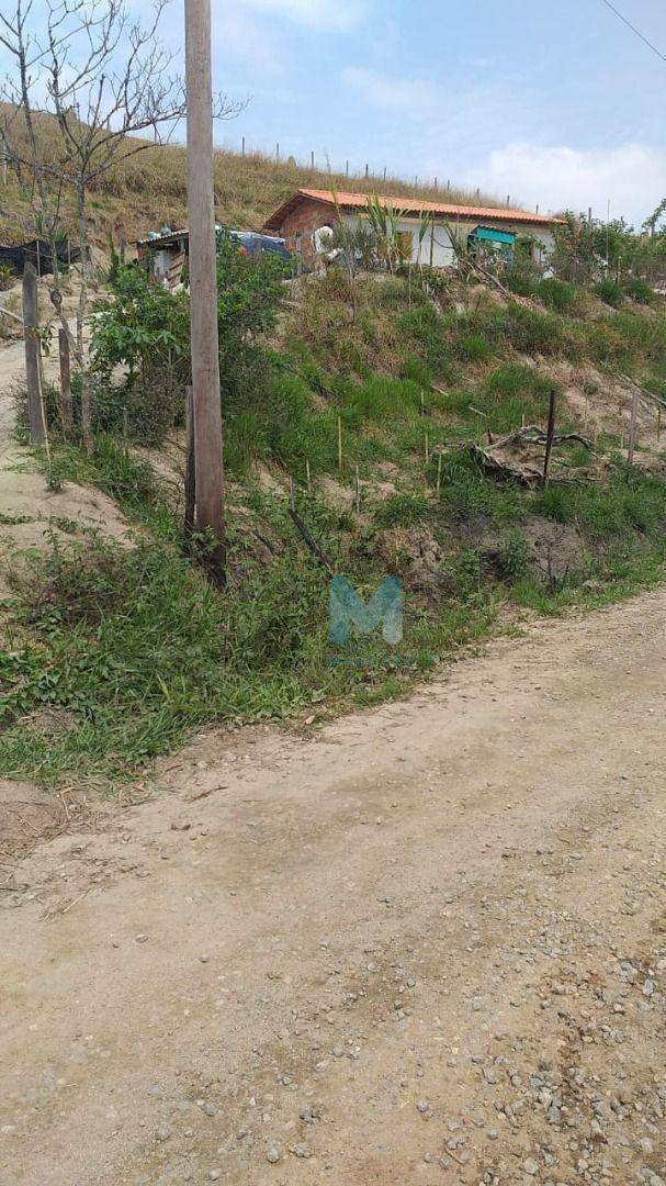 Chácara, 1 quarto, 1000 m² - Foto 2