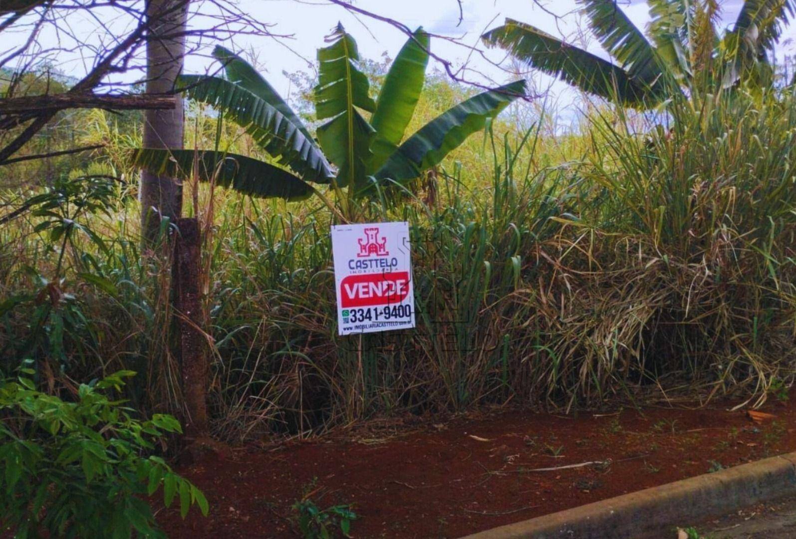 Terreno, 250 m² - Foto 1