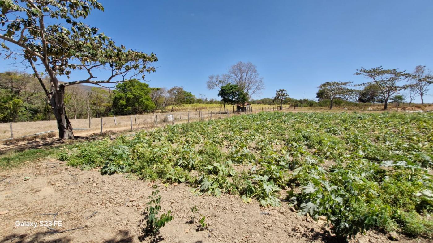 Fazenda à venda com 4 quartos, 1180000m² - Foto 13