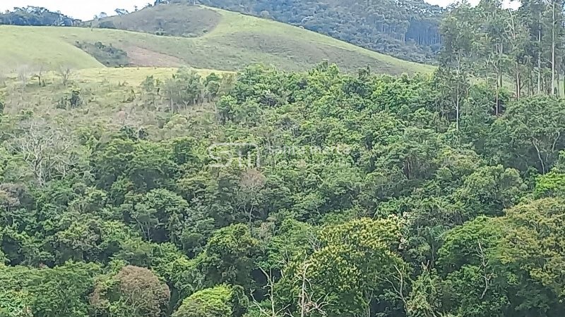 Fazenda-Sítio-Chácara, 36 hectares - Foto 2