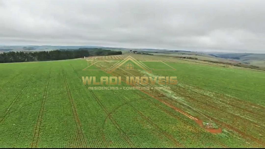 Fazenda à venda, 2300m² - Foto 1