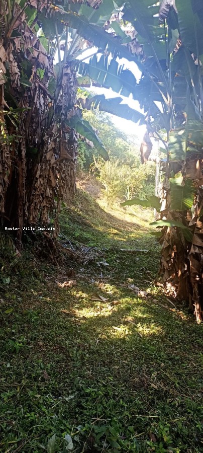 Terreno, 2 hectares - Foto 7