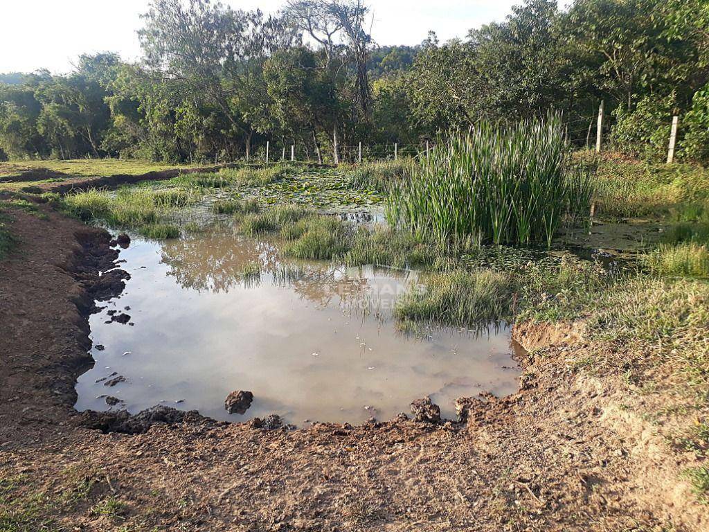 Fazenda à venda, 40m² - Foto 22