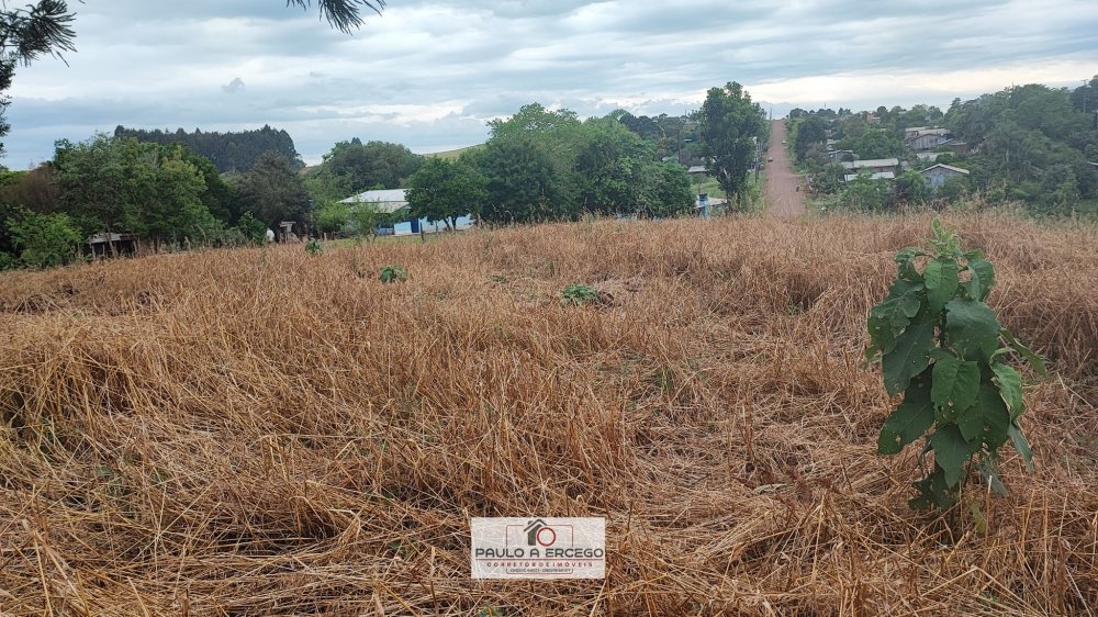 Fazenda à venda com 1 quarto, 1780m² - Foto 8