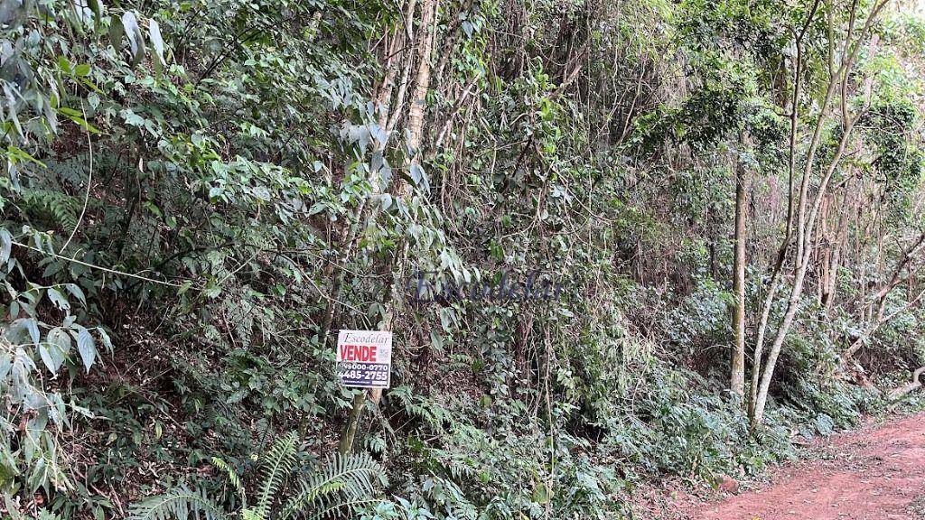 Loteamento e Condomínio à venda, 1120M2 - Foto 3