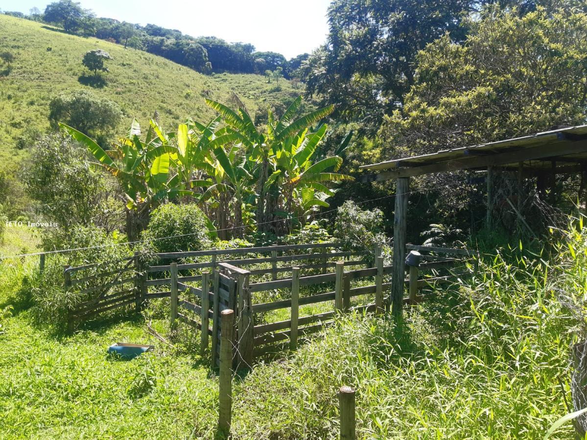 Fazenda à venda com 2 quartos, 4m² - Foto 46