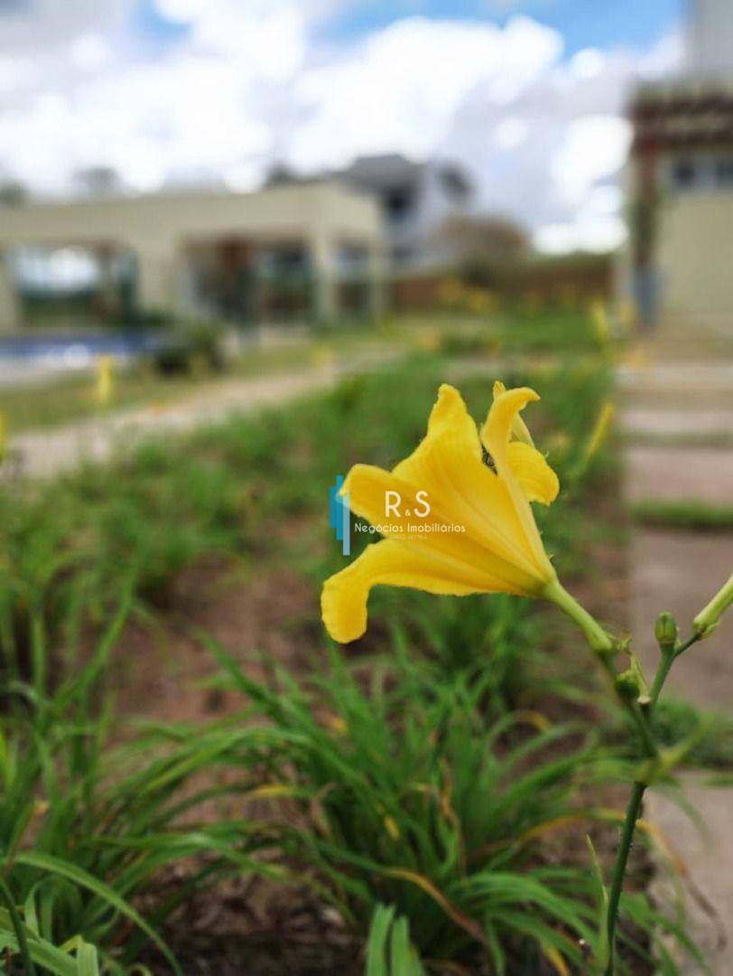 Loteamento e Condomínio à venda, 390M2 - Foto 39