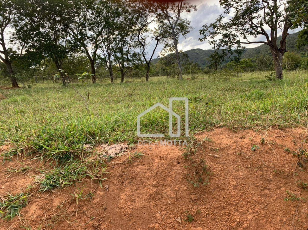 Fazenda à venda com 3 quartos, 21217700000M2 - Foto 18