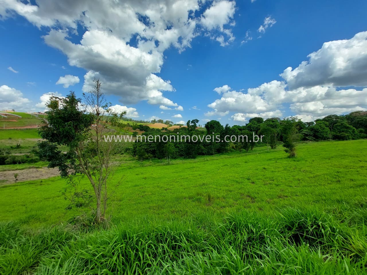 Terreno, 1000 m² - Foto 3