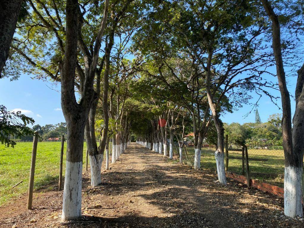 Sítio, 8 quartos, 10 hectares - Foto 2