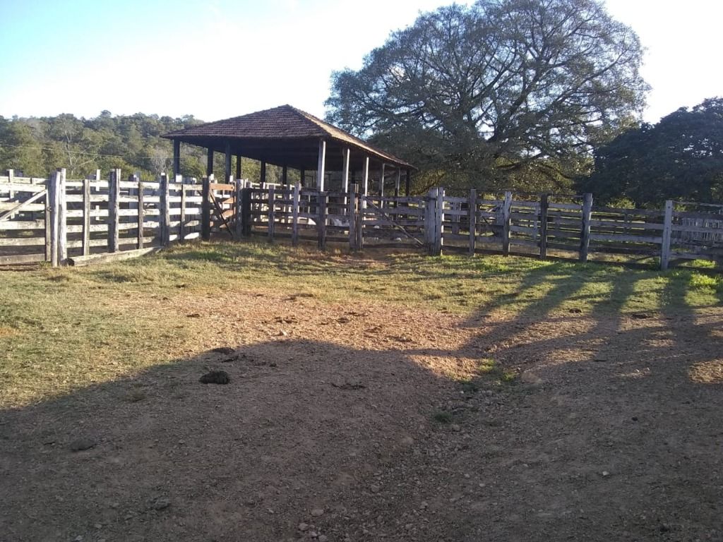 Fazenda-Sítio-Chácara, 508 hectares - Foto 1