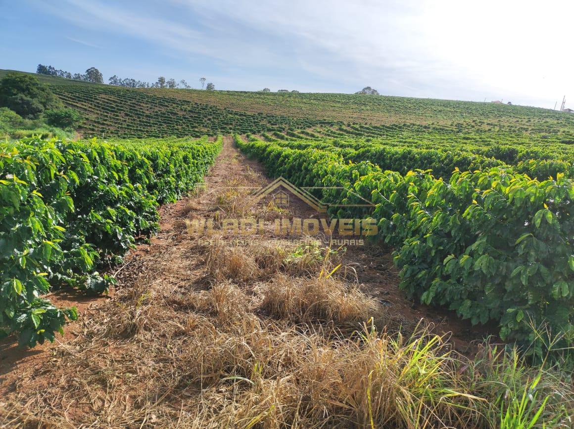 Fazenda à venda, 300m² - Foto 1