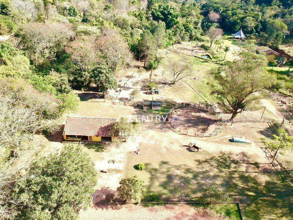 Sítio, 50 hectares - Foto 10