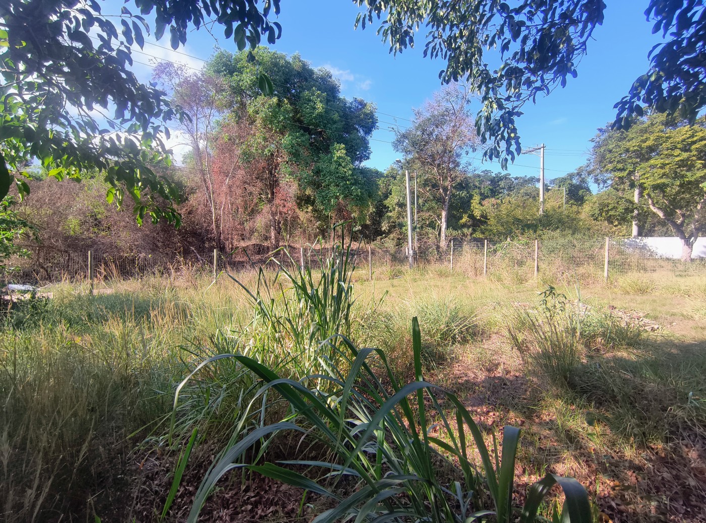 Terreno à venda, 238m² - Foto 5