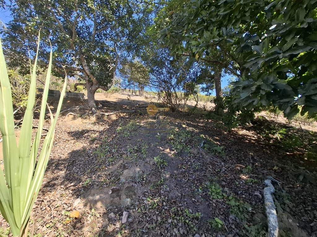 Casa, 3 quartos, 652 m² - Foto 32