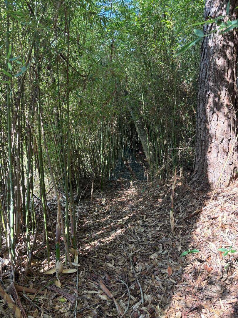 Chácara, 3 quartos, 3842 m² - Foto 2