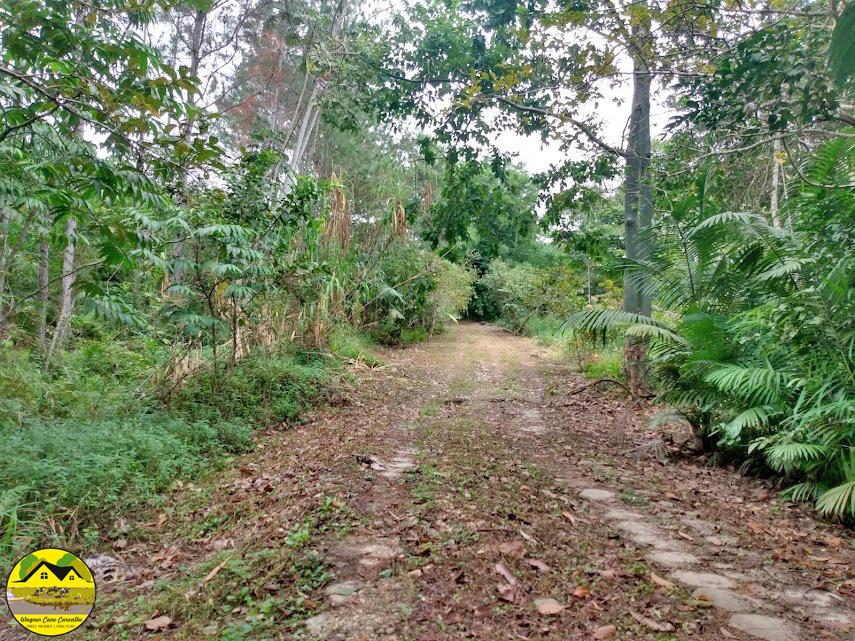 Fazenda à venda com 3 quartos, 30m² - Foto 11