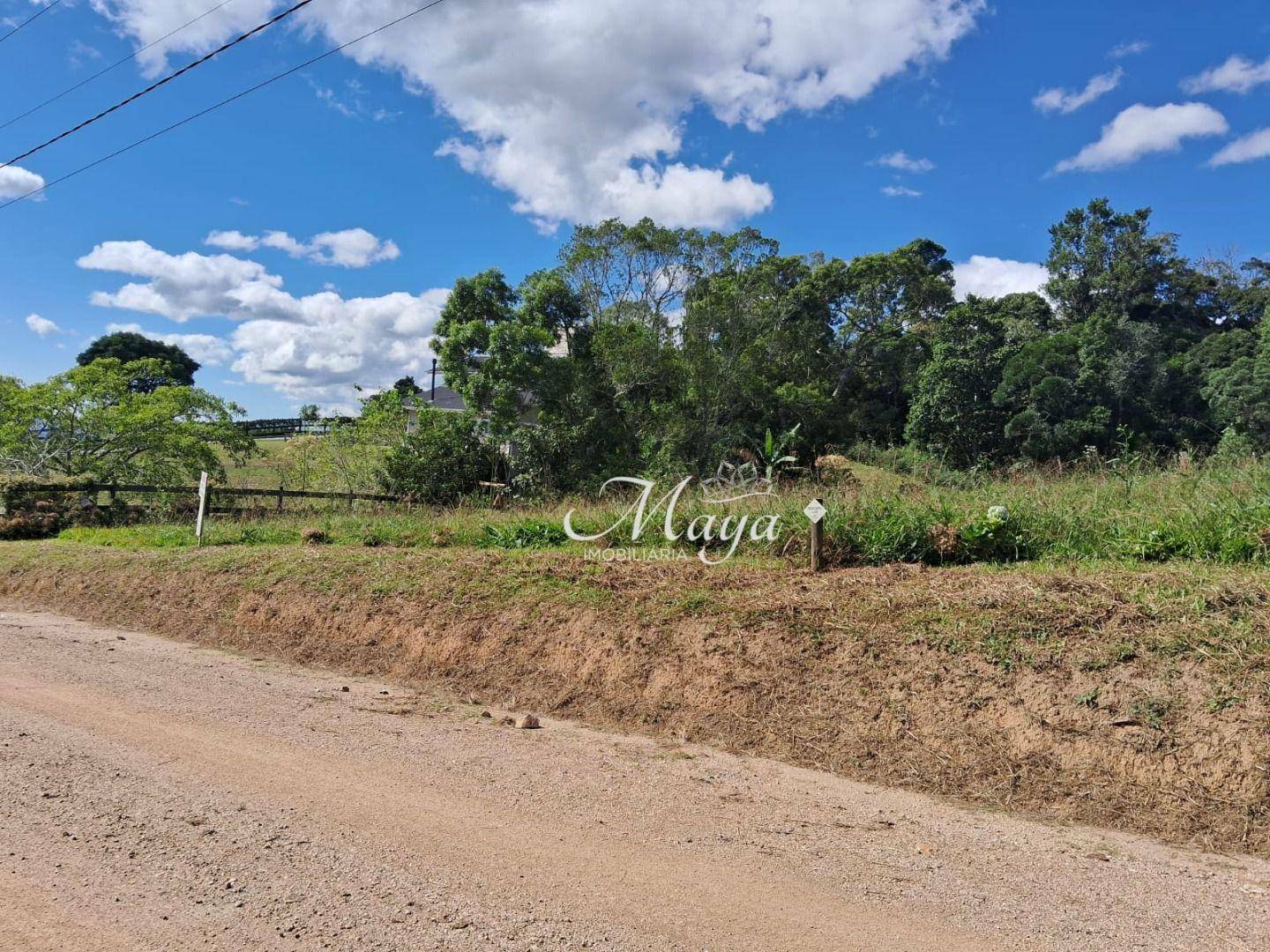 Terreno à venda, 2000M2 - Foto 5