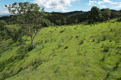 Terreno à venda, 75000M2 - Foto 3