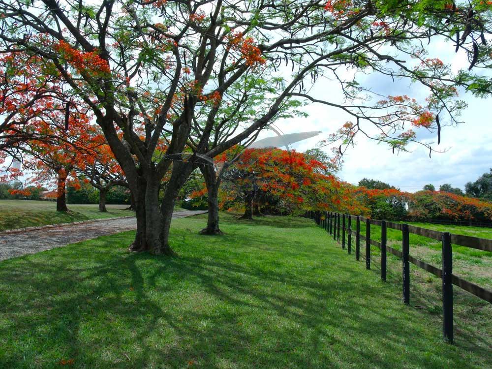 Casa de Condomínio à venda com 3 quartos, 360m² - Foto 25