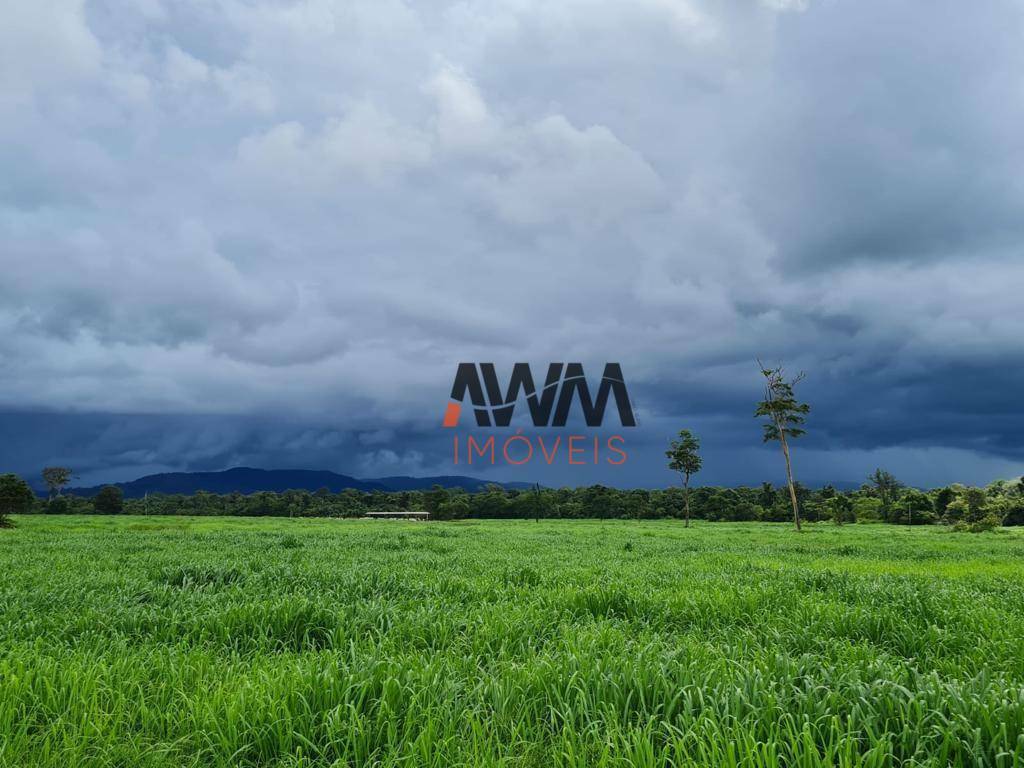Fazenda-Sítio-Chácara, 1936 hectares - Foto 7