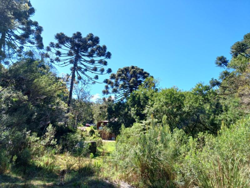 Casa à venda com 3 quartos, 90m² - Foto 7