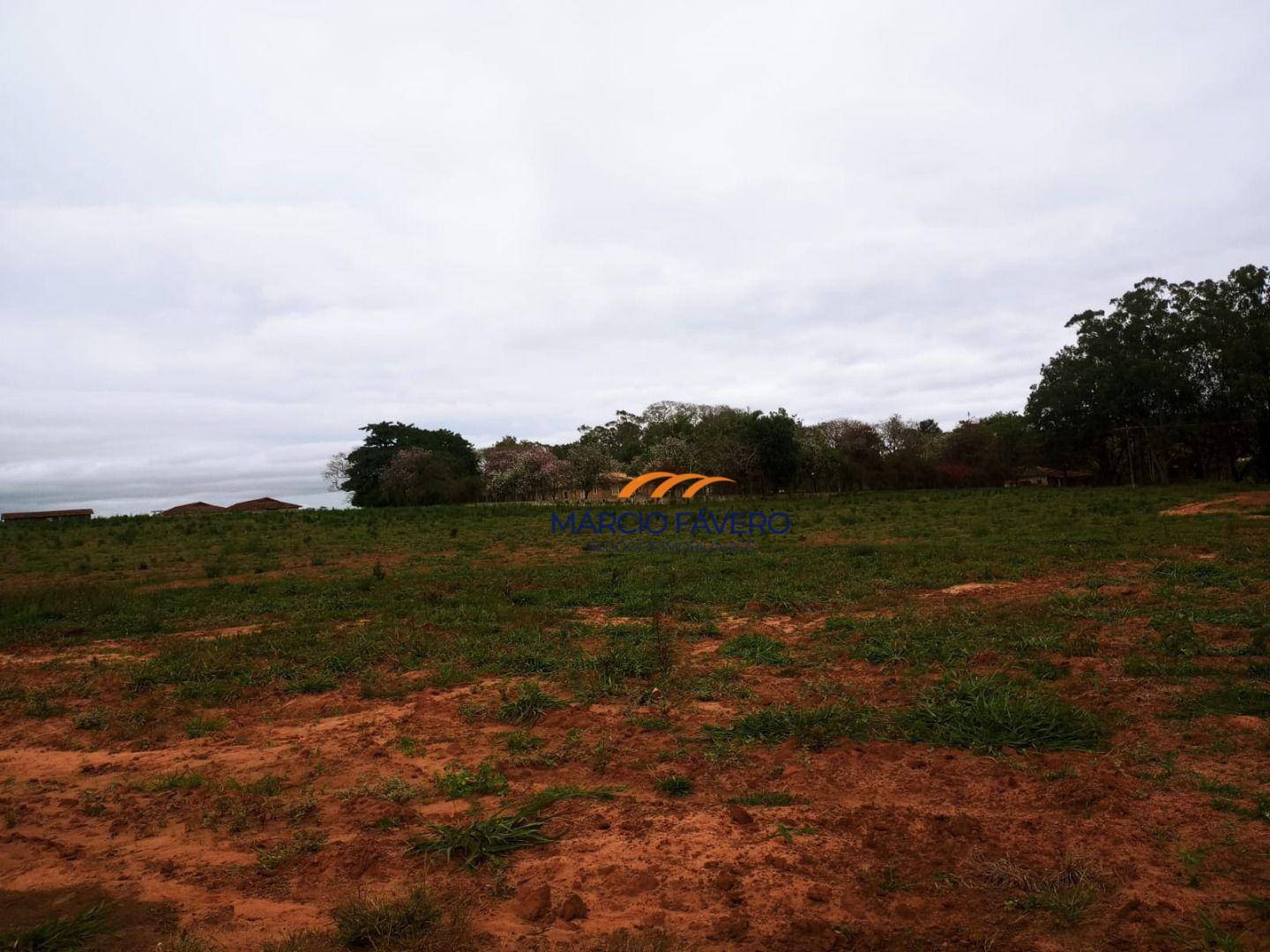 Fazenda-Sítio-Chácara, 1198 hectares - Foto 6