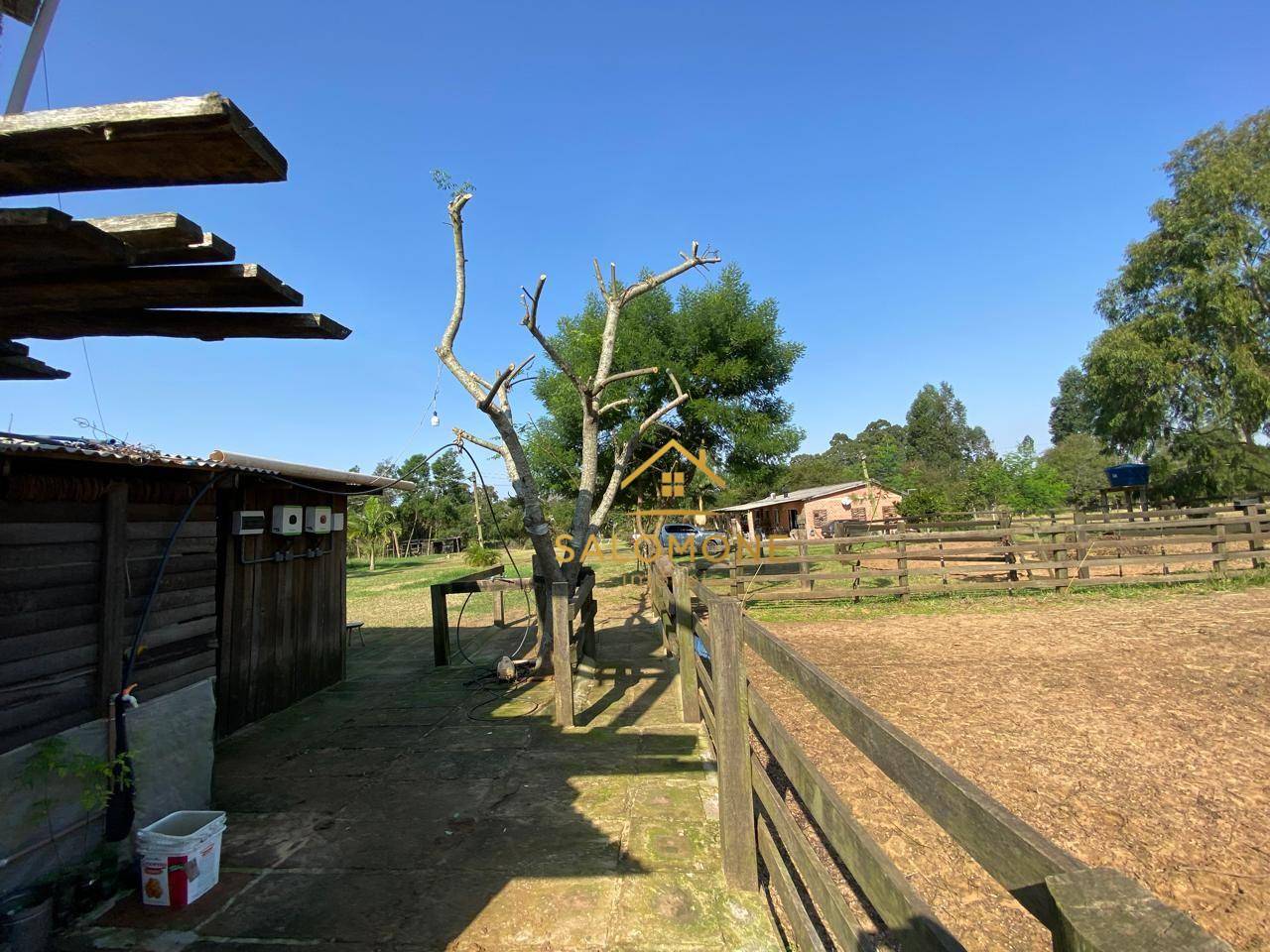 Sítio, 4 quartos, 5000 m² - Foto 3