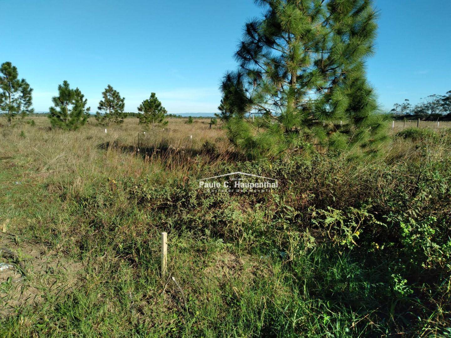 Terreno, 300 m² - Foto 1