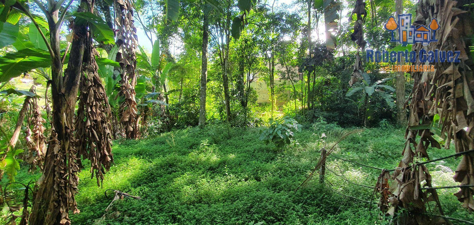 Terreno para alugar, 600M2 - Foto 5