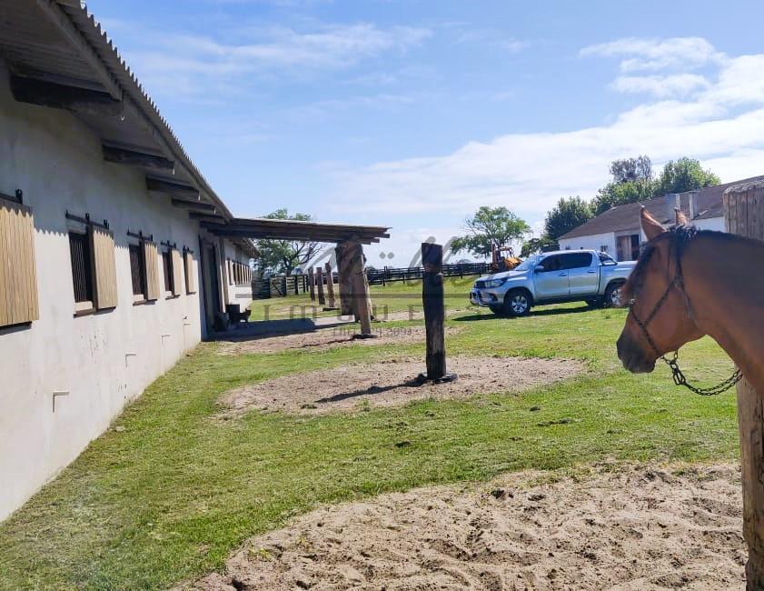 Fazenda à venda, 2300m² - Foto 2