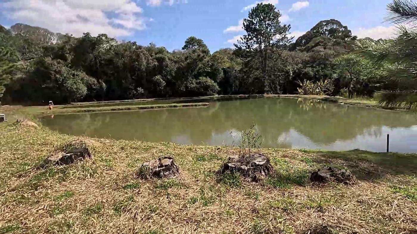 Sítio à venda com 3 quartos, 24000m² - Foto 36