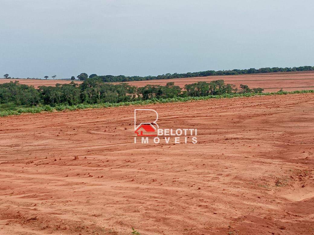 Fazenda-Sítio-Chácara, 1350 hectares - Foto 1