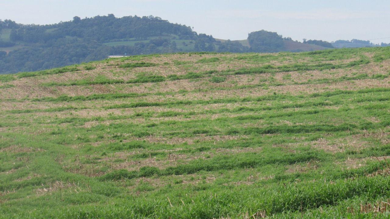 Loteamento e Condomínio à venda, 60000m² - Foto 16