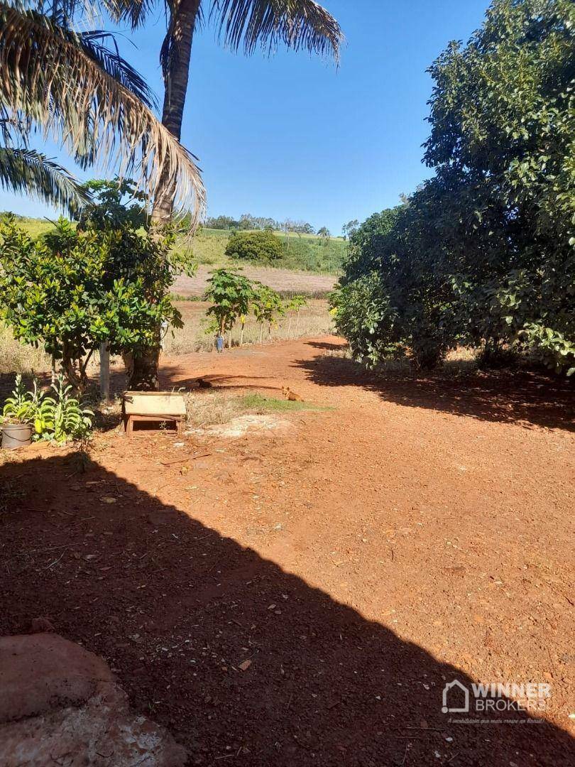 Chácara à venda com 3 quartos, 18000M2 - Foto 2