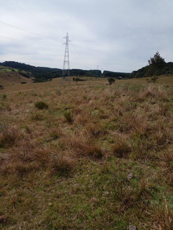 Fazenda à venda, 238m² - Foto 6